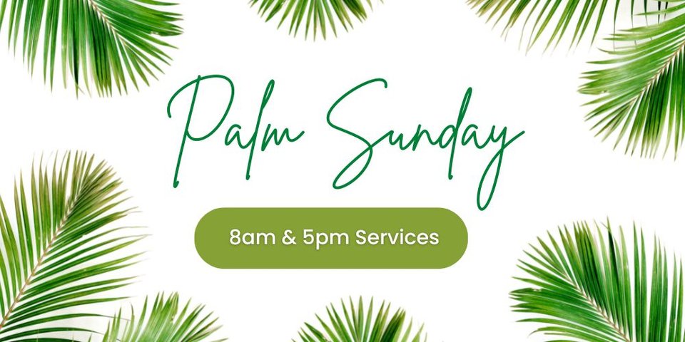 Palm Sun English